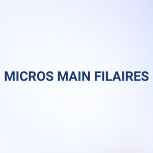 MICROS MAIN FILAIRES